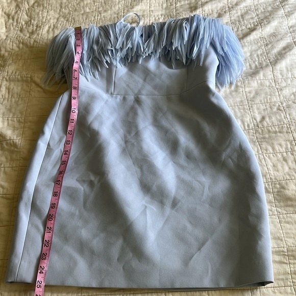 BCBGMaxazria Light Blue Dress with Fringe Detail - Picture 2 of 9